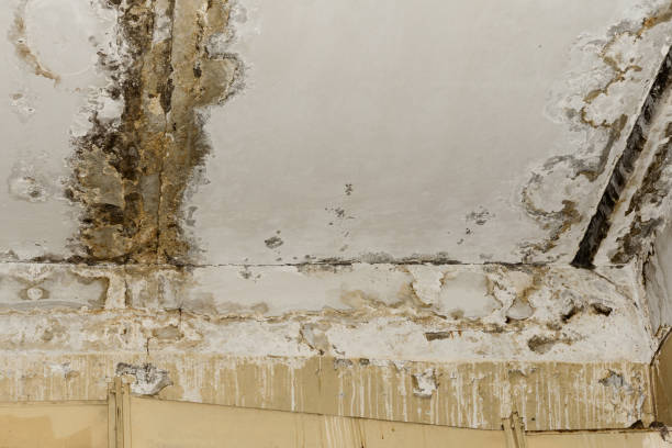 Best Dehumidification Services  in Atco, NJ