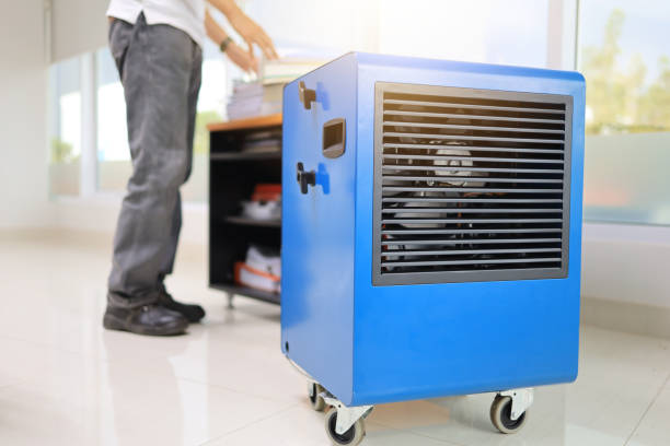 Best Air Quality Testing for Mold Spores  in Atco, NJ