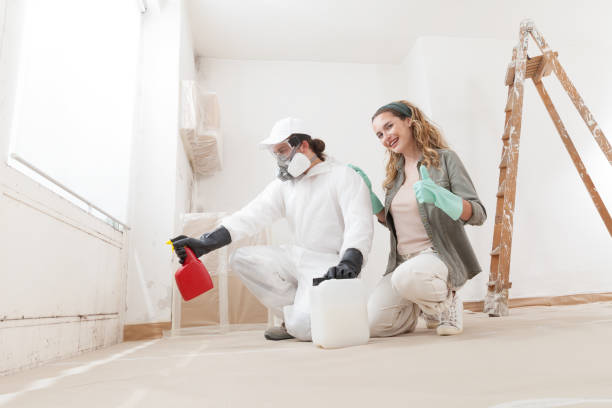 Best Attic Mold Removal  in Atco, NJ