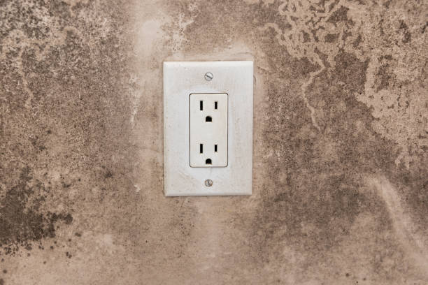 Best Basement Mold Removal  in Atco, NJ